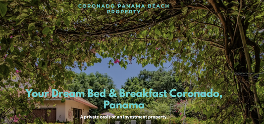 Google Ads Management for Coronado Panama Beach Property